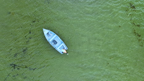 Top-down-aerial-shot-of-a-small-boat-navigating-through-a-vibrant-algae-covered-coastal-water,-highlighting-a-striking-contrast-between-the-vivid-green-sea-and-the-sleek-grey-of-the-boat