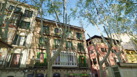 Picturesque-old-buildings-and-trees-in-Palma-de-Mallorca-street