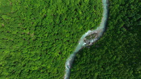 A-bird's-eye-view-of-a-wild-mountain-river-of-pure-greenish-color