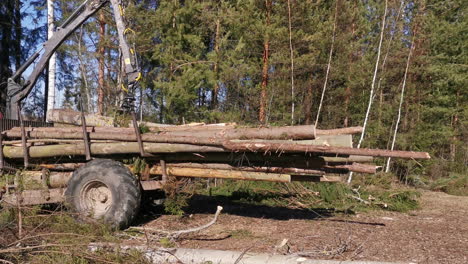 Statische-Rückansicht-Einer-Holzklaue,-Die-Gefällte-Bäume-Für-Den-Transport-Auf-Einen-Anhänger-Lädt