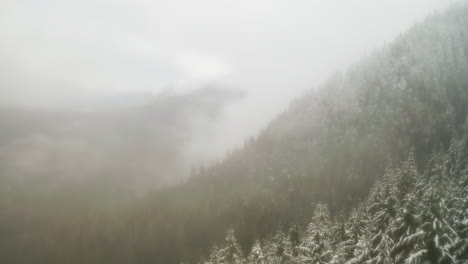 Fog-Clouds-Blanketing-Snowy-Forest-Trees-On-Mountains-In-Olympic-Peninsula,-Washington