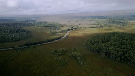 Regional-highway-road-in-remote-grass-field-and-forest-near-Granville-Harbour-on-Tasmania's-west-coast,-Australia