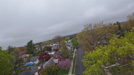 FPV-flight-over-American-neighborhood-with-multicored-trees-during-spring