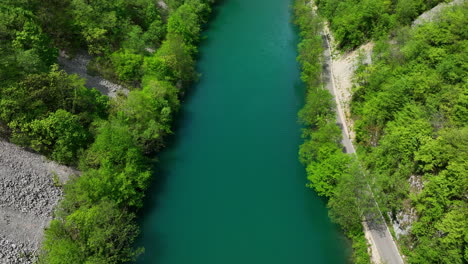 Luftaufnahme-Eines-Leuchtend-Grünen-Flusses,-Der-Sich-Durch-Einen-Dichten-Wald-Schlängelt,-Mit-Frühfrühlingsfarbenem-Laub