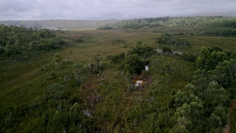 Antena-De-La-Esquina-De-La-Carretera-Nacional-Y-Campo-De-Hierba-Cerca-Del-Puerto-De-Granville,-Tasmania,-Australia