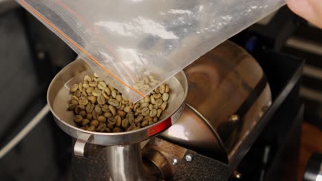 Person-pouring-harvested-raw-coffee-beans-into-a-roasting-machine