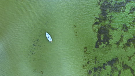 Aerial-view-of-a-small-boat-floating-in-coastal-waters,-surrounded-by-lush-green-algae-and-clear-water,-showcasing-serene-and-scenic-marine-ecosystems