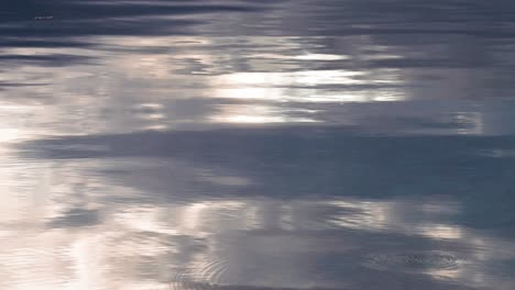 Ripples-and-low-waves-run-on-the-sunlit-water-surface