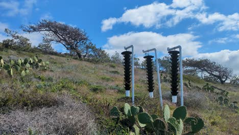 Wide-view-of-hanging-pine-beetle-funnel-traps-along-hiking-trail-with-cactus-and-grassy-hills