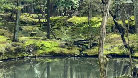 Jardín-Cubierto-De-Musgo-Y-Lago-Tranquilo-En-El-Templo-Saihoji-Kokedera-En-Kyoto,-Japón