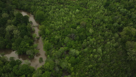 Aerial-View-Of-Wolf-River-With-Murky-Water-Along-Dense-Forest-In-Collierville,-Tennessee,-USA