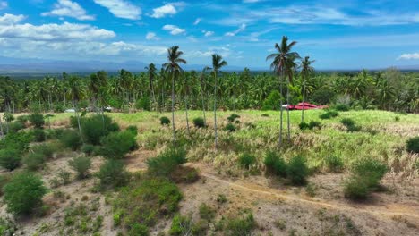 Vuelo-Aéreo-Sobre-El-Bosque-De-Palmeras-Tropicales-Que-Crece-En-El-Pintoresco-Distrito-Suburbano-Del-Sur-De-Cotabato,-Filipinas