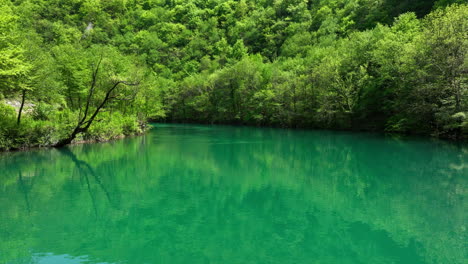 Ein-Klarer,-Grüner-Fluss-Fließt-Durch-Einen-Wald-Voller-Frischer-Frühlingsblätter,-Von-Oben-Aufgenommen