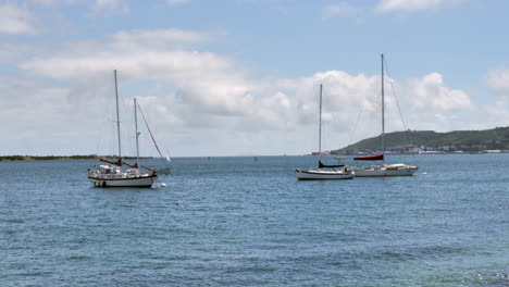 Sailboats-docked-and-anchored-in-the-sea