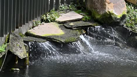 Wasserfall-Im-Tropicario,-Botanischer-Garten-Bogotá,-Kolumbien