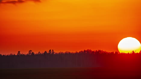 Un-Gran-Sol-Cayendo-A-Través-De-Un-Cielo-Rojo-Hacia-Un-Bosque-En-El-Horizonte