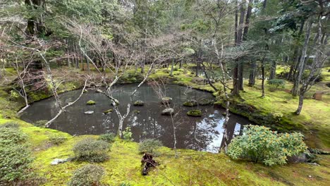 üppiges-Moos-Und-Kleiner-Teich-Im-Saihōji-Tempel-In-Kyoto,-Japan