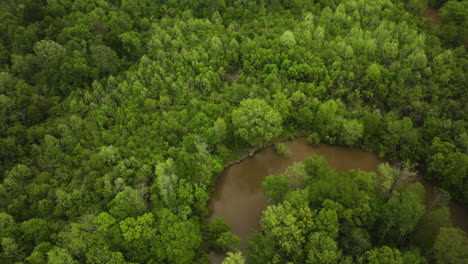 Wolf-River-Through-Dense-Green-Forest-In-Collierville,-Tennessee