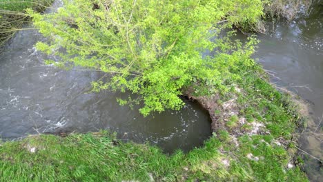 Arroyo-Que-Muestra-Cómo-Se-Formaría-Un-Lago-En-Forma-De-Meandro-En-Un-Río.