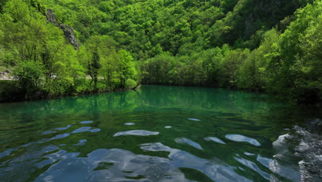 Üppiges-Grün-Umgibt-Einen-Klaren,-Gewundenen-Fluss-Unter-Einem-Himmel-Mit-Nur-Wenigen-Wolken,-Aufgenommen-In-Einer-Luftaufnahme-Im-Frühen-Frühling