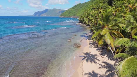Karibischer-Sandstrand-Mit-Exotischen-Palmen,-Türkisblauem-Meerwasser,-Drohne