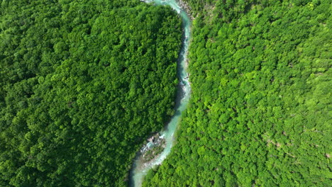 A-bird's-eye-view-of-a-wild-mountain-river-of-pure-greenish-color