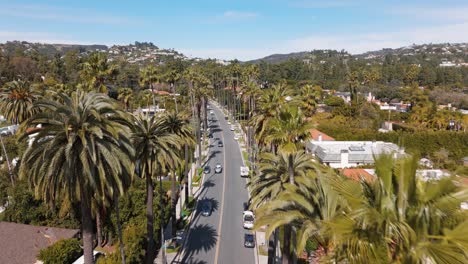 Drone-shot-going-through-a-row-of-palm-trees-in-beverly-hill,-Los-Angeles