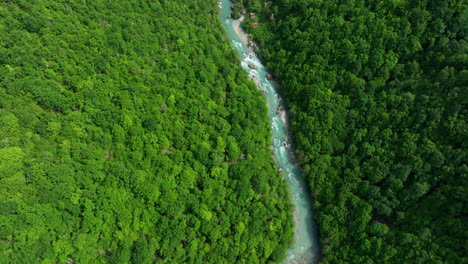 A-bird's-eye-view-of-a-wild-mountain-river-of-pure-greenish-color