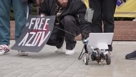Disabled-dog-in-wheelchair-at-protest-to-Free-Azov-prisoners-of-war