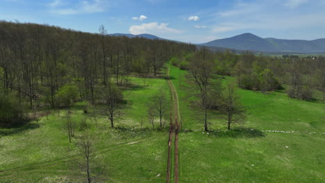 Low-flight-over-a-mountain-plateau-overgrown-with-grass-and-sparse-forest-in-early-spring-with-mountain-peaks-in-the-background-and-a-blue-sky