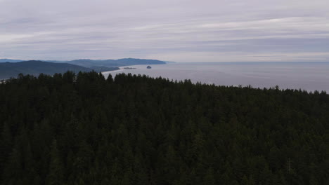 Aerial-ascend-above-coastal-conifer-forest-to-reveal-Cape-Kiwanda-in-the-distance,-Oregon-Coast