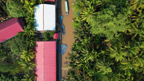 Top-down-flight-over-a-river-flowing-next-to-a-coconut-plantation-in-Bến-Tre,-Vietnam,-Asia-while-following-a-boat