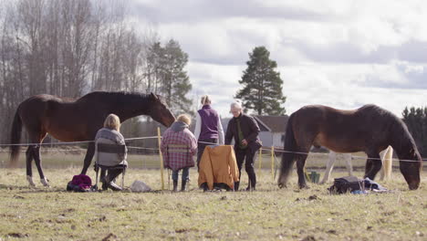 Equine-therapy-workshop-participants-get-instructions-from-FEEL-facilitator