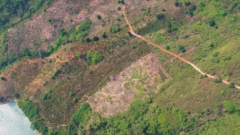 An-aerial-shot-of-a-local-Vietnamese-plantation-farm-next-to-a-lake