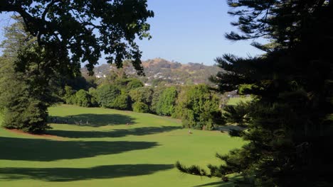 Grüne-Parkumgebung-In-Mount-Cecilia,-One-Tree-Hill-Im-Hintergrund-In-Auckland,-Neuseeland