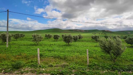 North-African-Morocco-village-houses-and-agriculture-green-field-landscape