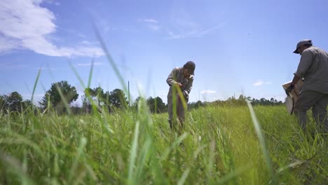 Agricultores-Cavando-El-Campo-Del-Suelo-Con-Una-Pala-Para-Plantar-árboles-De-Trompeta