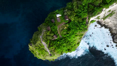 Famous-tree-Diamond-Beach,-iconic-nature-site,-popular-photo-position