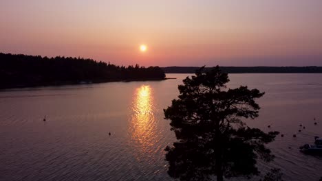 Sunset-over-Stockholm-Archipelago-with-tranquil-water-and-silhouetted-trees,-aerial-view