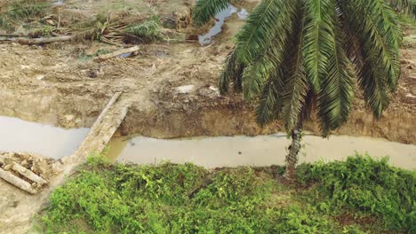 Ein-Elefant-überquert-Einen-Fluss,-Um-Der-Abholzung-In-Borneo,-Malaysia-Zu-Entgehen