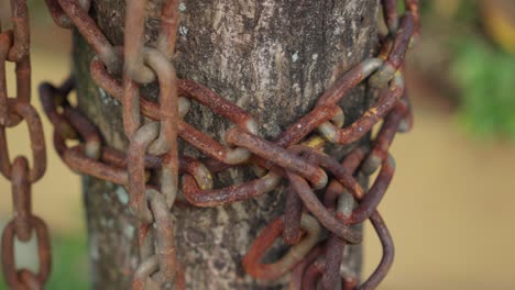 Surface-rust-covered-links,-serial-chain-assembly,-ageing-wooden-trunk