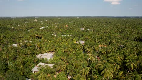 Ascending-flight-over-the-tropical-palm-trees-of-coconut-plantations-in-Bến-Tre,-Vietnam,-Asia