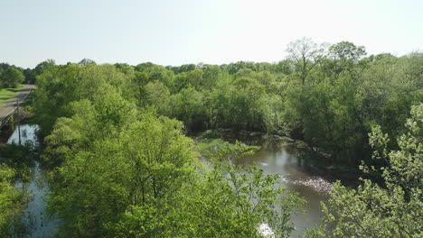 Río-Y-Exuberantes-árboles-Verdes-En-Wolf-River-Blvd,-Collierville,-Tennessee,-EE.UU.---Toma-Aérea-De-Un-Dron