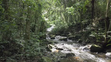 Selva-Tropical-De-Brasil-Río-Arriba-Drone-Empujar-Hacia-Adelante