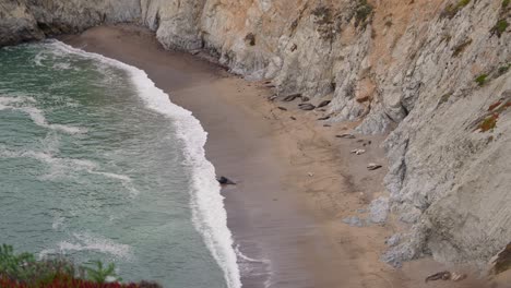 Seeelefanten-Gruppiert-An-Einem-Küstenstrand-Im-Norden-Kaliforniens