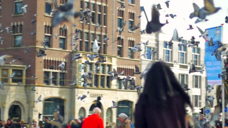 Tauben-Fliegen-In-Zeitlupe-Durch-Amsterdam-über-Einem-überfüllten-öffentlichen-Platz