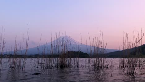 Lago-Y-Monte-Fuji-Al-Atardecer