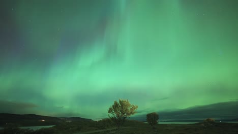 The-dark-winter-sky-adorned-with-a-spectacular-exhibition-of-the-northern-lights