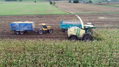 Harvesting-maize-with-a-dedicated-maize-harvester-which-shreds-the-whole-plant-and-blows-it-into-tractors-and-trailers-driving-alongside