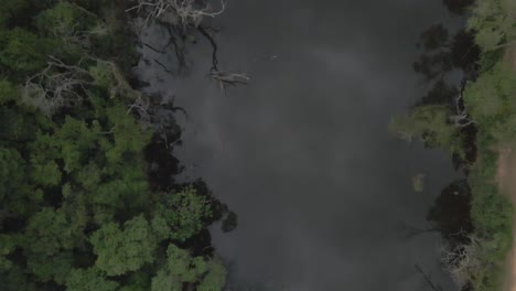 Brasil-Selva-Tropical-Río-Drone-Vista-Aérea-Superior